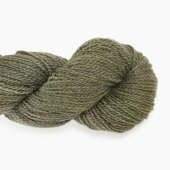 Botanica | Anthology Yarn Co
