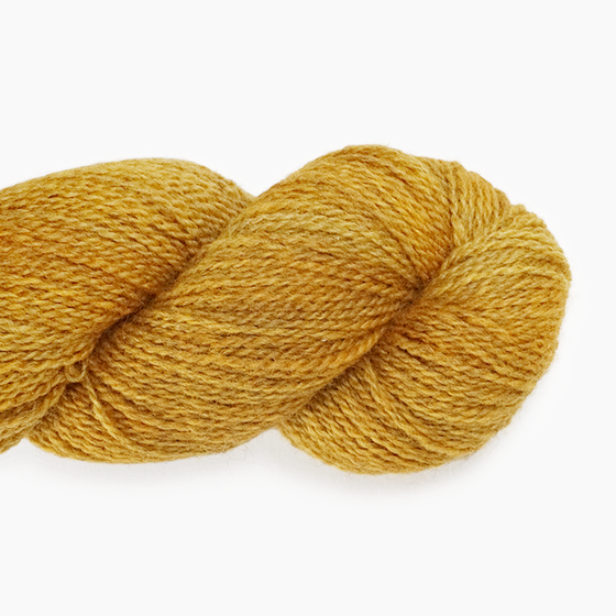 Botanica | Anthology Yarn Co