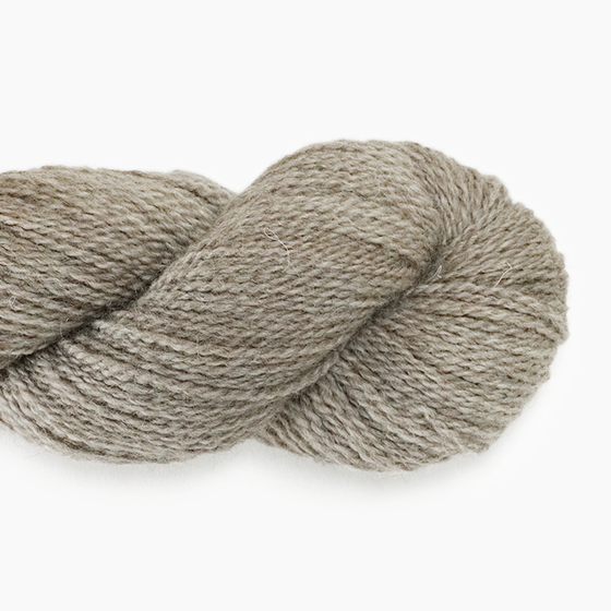 Botanica | Anthology Yarn Co
