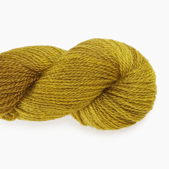 Botanica | Anthology Yarn Co