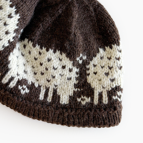 Salomão Colorwork Hat Class
