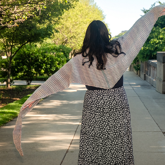 Vice Versa Brioche Shawl Class