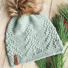 Pine Woods Crochet Beanie Class
