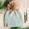 Pine Woods Crochet Beanie Class