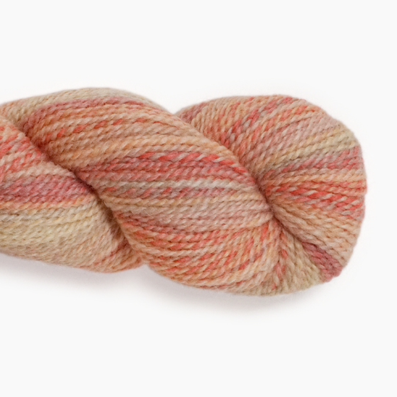 Entropy DK | Feederbrook Farm