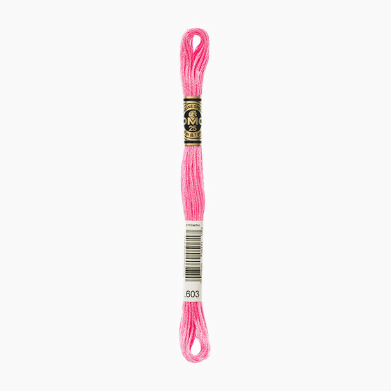 Embroidery Floss 371-739 | DMC