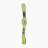 Embroidery Floss Variegated  | DMC