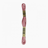 Embroidery Floss Variegated  | DMC