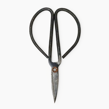  Knife Edge Scissors