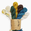 Mini Sock Fade Set | Lichen and Lace