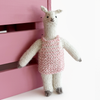 Little Alpaca Friend Kit