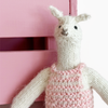 Little Alpaca Friend Kit