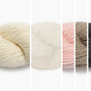 Little Alpaca Friend Kit