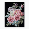 Museum Collection Cross Stitch Kit | DMC