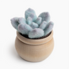 Sculpting with Wool Mini Needle Felting Kits | Felted Sky