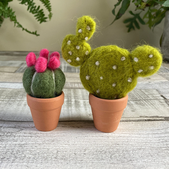 Needle Felting Kits | Bergin & Bath