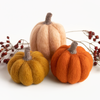 Sculpting with Wool Mini Needle Felting Kits | Felted Sky