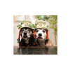 Sookie and Ivy Crochet Cute Dog Hats