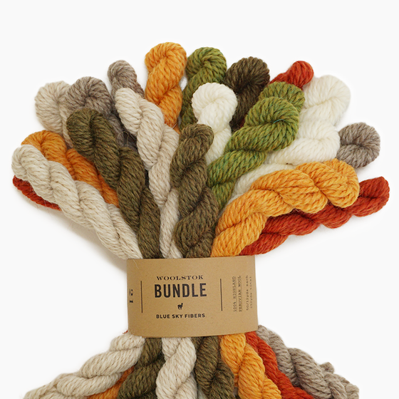 27 Color Woolstok Mini Hank Bundle (100% wool) — Row House Yarn