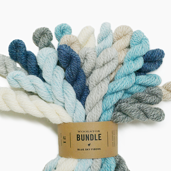 27 Color Woolstok Mini Hank Bundle (100% wool) — Row House Yarn