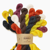 Woolstok Bundle | Blue Sky Fibers