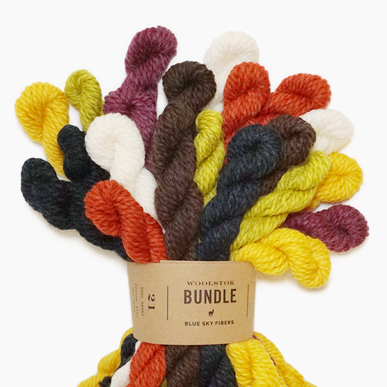 Woolstok Bundle | Blue Sky Fibers