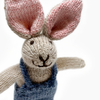Little Bunny Friend Kit