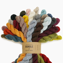  Woolstok Bundle | Blue Sky Fibers