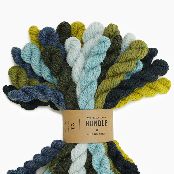 Woolstok Yarn Bundle yarn - Blue Sky Fibers – gather here online