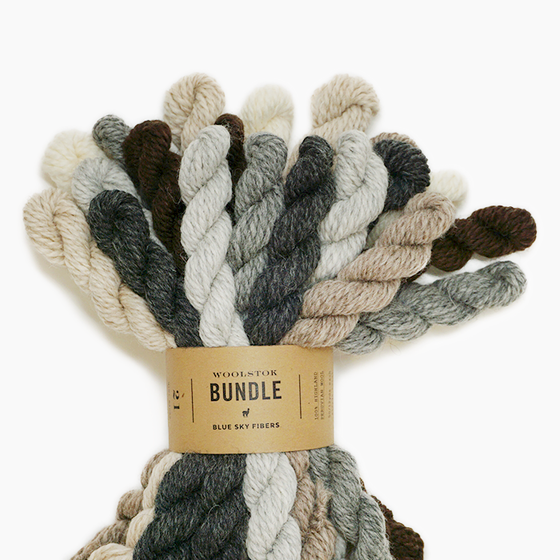 Blue Sky Fibers Woolstok Bundle Bramble & Fig – Wool and Company