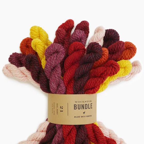 27 Color Woolstok Bundle — Lancaster Yarn Shop